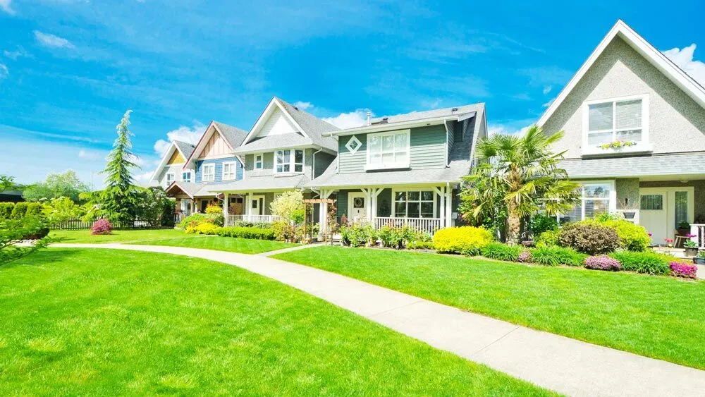 Football Field Grass 50mm view 4