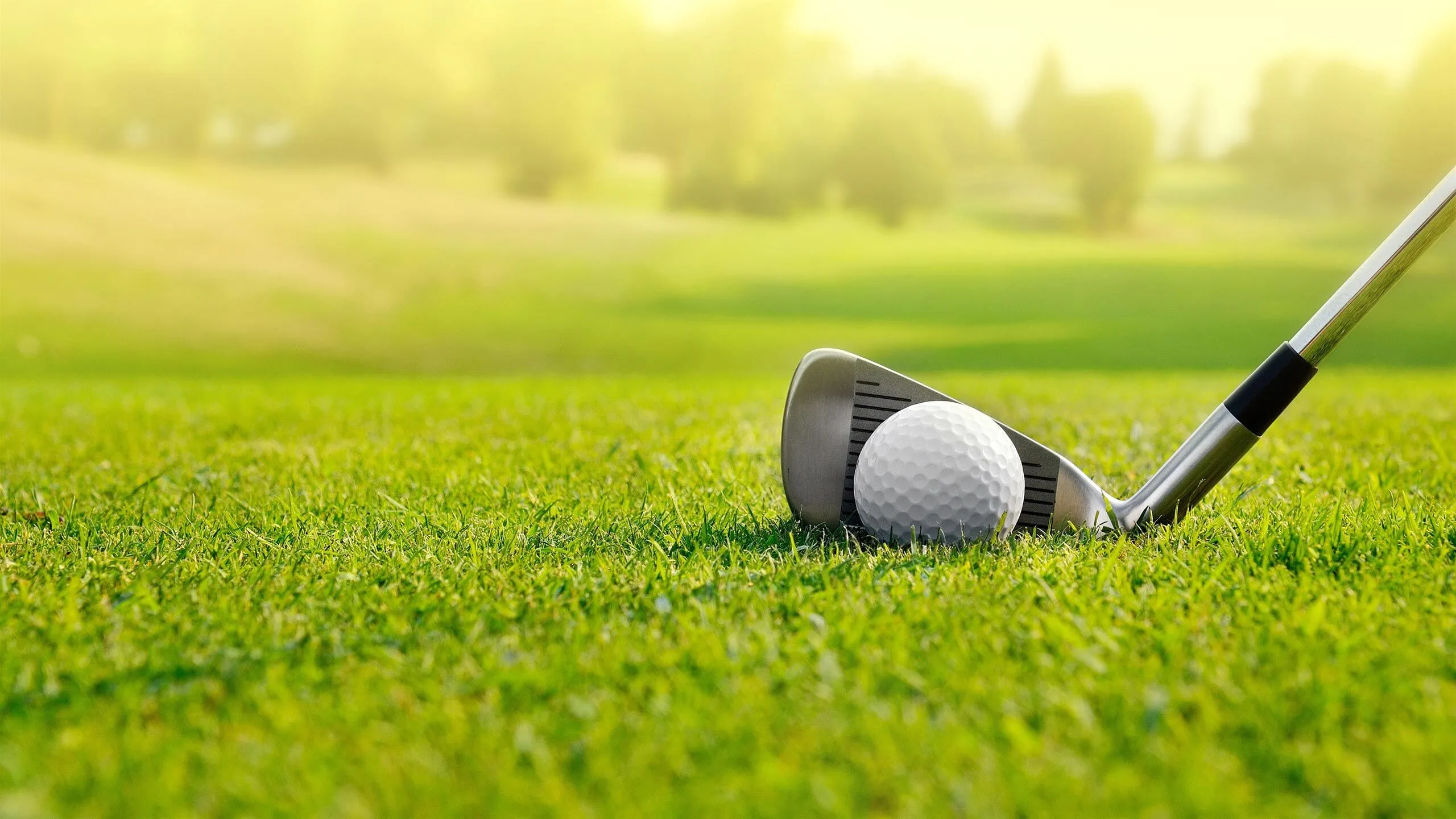 Football Field Grass 50mm view 3